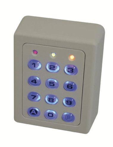 Clavier 2 relais, 60 codes, touches plastiques, boîtier abs gris -SU2-BASIC
