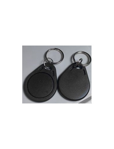 Badge porte clef double technologies 125 khz et 13,56 ghz - BA403DF