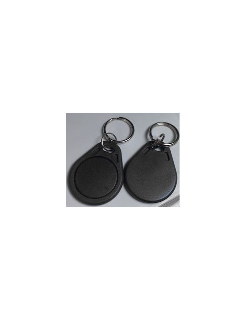 Badge porte clef double technologies 125 khz et 13,56 ghz - BA403DF
